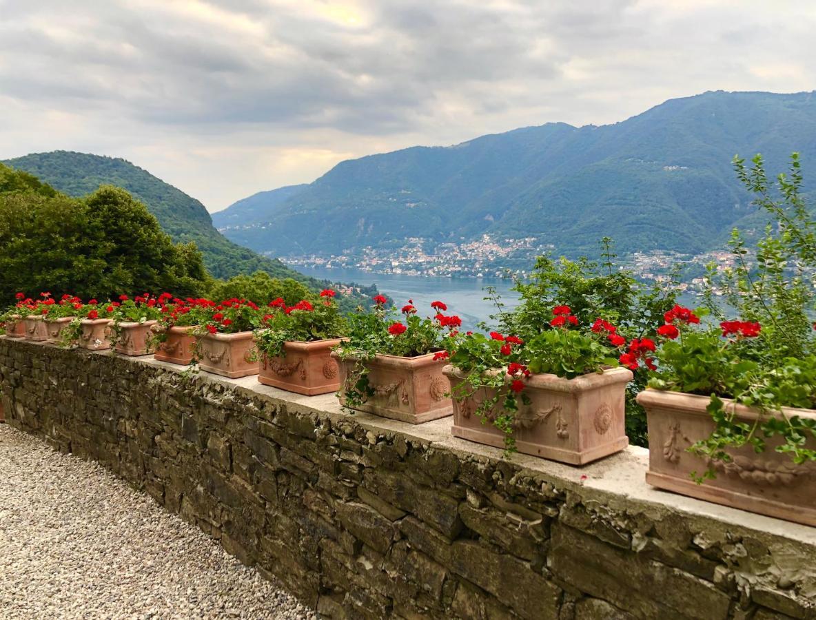 B&B Villa Le Ortensie Faggeto Lario Luaran gambar