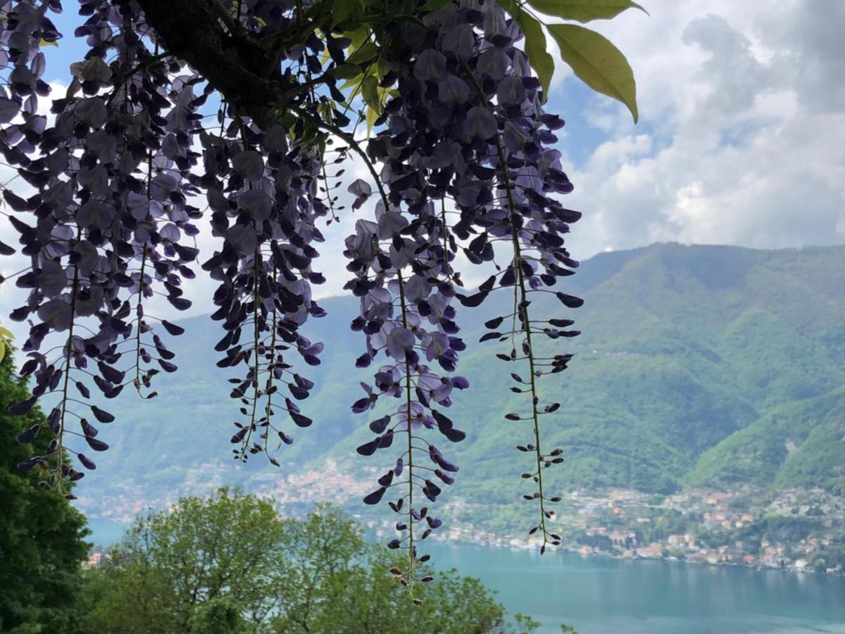 B&B Villa Le Ortensie Faggeto Lario Luaran gambar